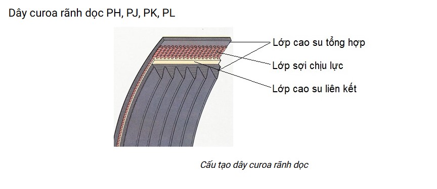 Cấu tạo dây curoa rãnh dọc